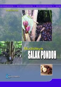 Image of Budidaya salak pondoh