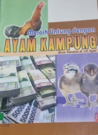 Image of Meraih untung dengan ayam kampung